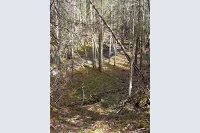 - Harry's Way, Colebrook, NH 03576 - Photo 54