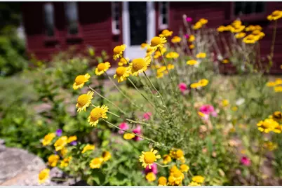 775 Winona Road, Center Harbor, NH 03226 - Photo 42