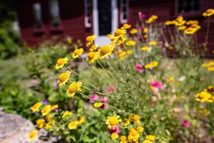 775 Winona Rd, Center Harbor, NH 03226 - Photo 42