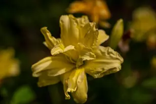 775 Winona Rd, Center Harbor, NH 03226 - Photo 58