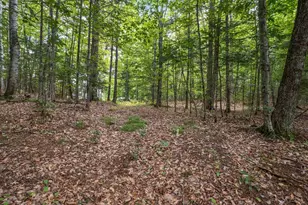 34 Foxglove Ln, Franconia, NH 03580 - Photo 10