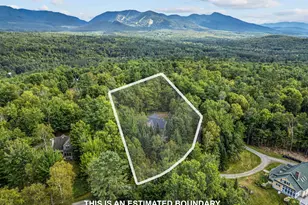 34 Foxglove Ln, Franconia, NH 03580 - Photo 52