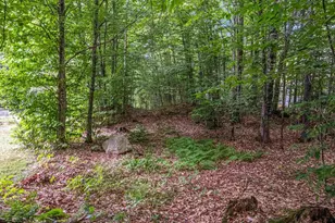 34 Foxglove Ln, Franconia, NH 03580 - Photo 12