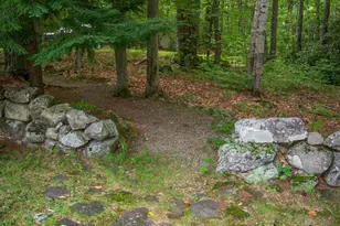 948 Gardner Hill Rd, Tamworth, NH 03886 - Photo 22