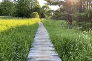 7 Countryside Dr, Gilford, NH 03249 - Photo 58