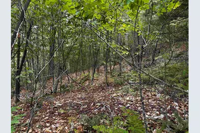 Sugarwood Lane, Littleton, NH 03561 - Photo 8