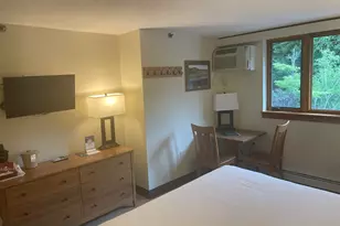 90 Loon Mountain Rd, Lincoln, NH 03251 - Photo 8