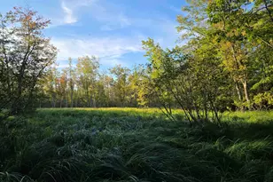 Nute Rd, Madbury, NH 03023 - Photo 1