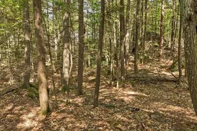 Lot 36 Mauhaut Shores Road, Alton, NH 03810 - Photo 12