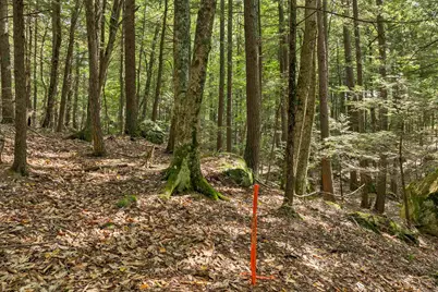 Lot 36 Mauhaut Shores Road, Alton, NH 03810 - Photo 6