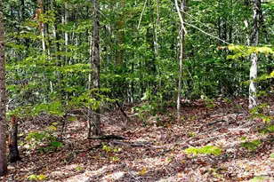 715 N Groton Rd, Groton, NH 03241 - Photo 52