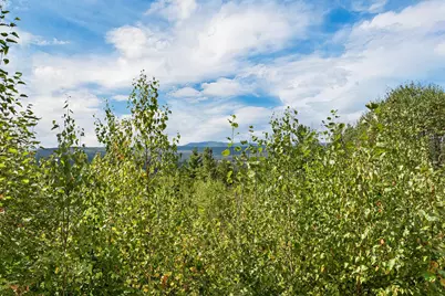 Lot 3 Morel Road, Lancaster, NH 03584 - Photo 48