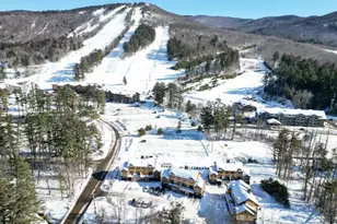 7 Black Diamond Rd, Conway, NH 03860 - Photo 56