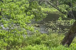 17 Prospect Mountain Rd, Alton, NH 03809 - Photo 2
