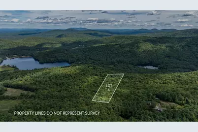 Tbd Youngs Road #Lot 4, Eaton, NH 03832 - Photo 1