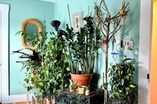 15 Rich St, Northumberland, NH 03582 - Photo 28