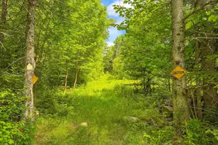 126 Gray Rd, Columbia, NH 03576 - Photo 48