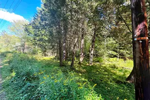 686 Wing Rd, Bethlehem, NH 03574 - Photo 34