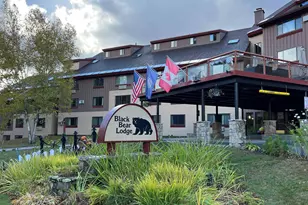 23 Black Bear Rd, Waterville Valley, NH 03215 - Photo 2