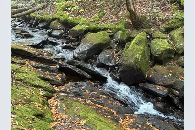 New Hampshire Route 25, Warren, NH 03279 - Photo 4