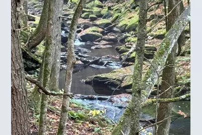 New Hampshire Route 25, Warren, NH 03279 - Photo 6