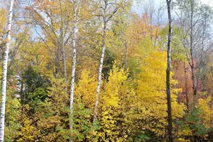 823 Country Land Dr, Haverhill, NH 03774 - Photo 34