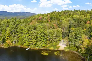 309 Waukeena Lake Rd, Danbury, NH 03230 - Photo 54