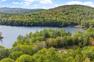 309 Waukeena Lake Rd, Danbury, NH 03230 - Photo 48