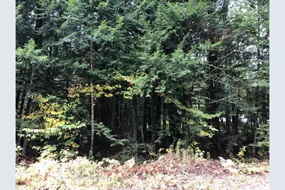 122 Centennial Drive #Lots 120,121,122,123, Webster, NH 03303 - Photo 6