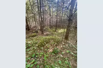 0 Thorn Hill Road #406/22, Bethlehem, NH 03574 - Photo 6