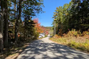 829 Bearcamp Hwy, Tamworth, NH 03883 - Photo 30