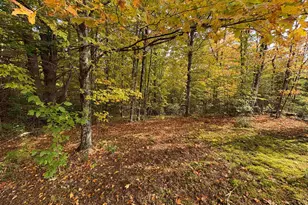 173 Dereks Wy, Lyndon, VT 05851 - Photo 18