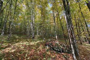 173 Dereks Wy, Lyndon, VT 05851 - Photo 8