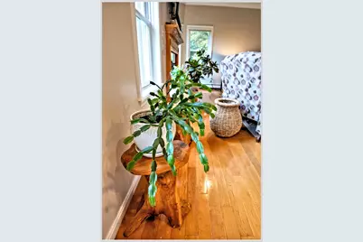 172 Merrill Road, Campton, NH 03223 - Photo 18