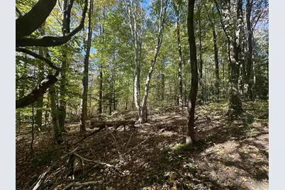 0 North Road, Milton, VT 05468 - Photo 50