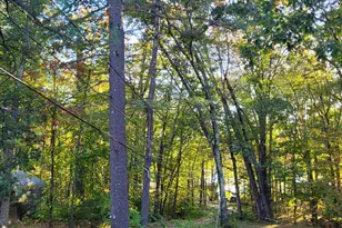 6 Davis Ln, Barrington, NH 03825 - Photo 2