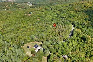 88 Perch Pond Rd, Holderness, NH 03245 - Photo 60