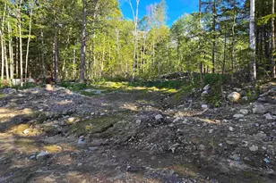 000 Garmish Dr, New Durham, NH 03855 - Photo 1