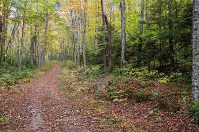 9 Buck Road, Lincoln, NH 03251 - Photo 22