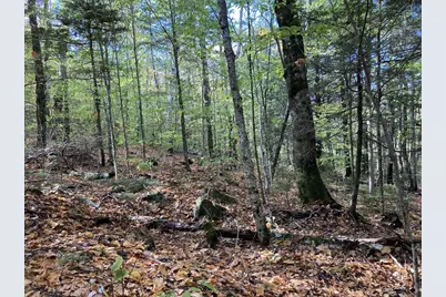 Abnaki Trail, Campton, NH 03223 - Photo 20