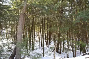 Lot 185 Hanover Dr, Haverhill, NH 03765 - Photo 1