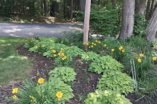 43 Maple Ave, Newton, NH 03858 - Photo 38