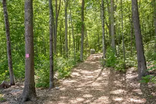 45 Stern Castle Pl, Laconia, NH 03246 - Photo 28