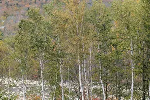 90 Loon Mountain Rd, Lincoln, NH 03251 - Photo 22