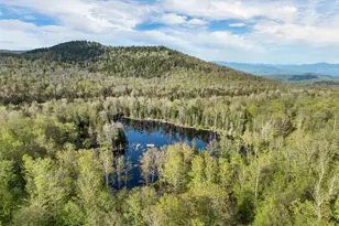 768 Doetown Rd, Rumney, NH 03266 - Photo 12