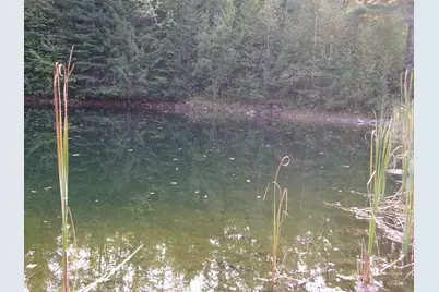 Fenn Way Circle #7, Bath, NH 03740 - Photo 12