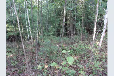 Fenn Way Circle #7, Bath, NH 03740 - Photo 6