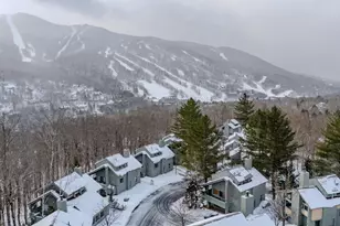 3 Big Bear Ln, Lincoln, NH 03251 - Photo 30