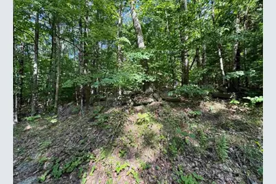 Map 10 Lots 154,155,156 New Hampshire Drive, Webster, NH 03303 - Photo 6