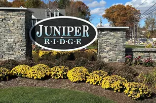 36 Elise Ave, Londonderry, NH 03053 - Photo 4